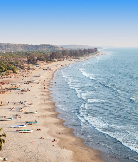 Goa