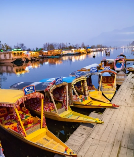 Srinagar